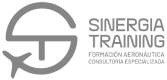 Sinergia training